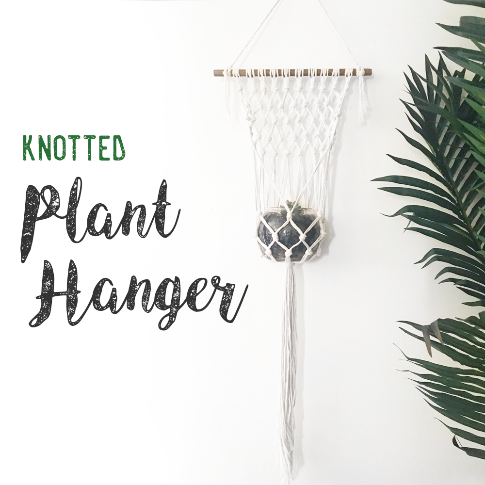 DIY Knotted Plant Hanger